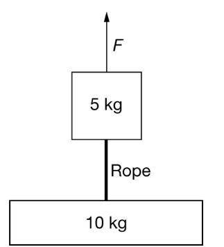 Two blocks are connected by a rope, as shown below. The masses of the blocks are 10kg for the lower