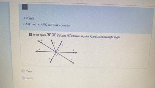 < ABC and < AHG are vertical angles 
True or False