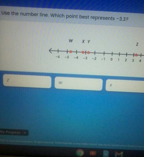 I need to know what the answer is?is it x,y,z,or w?