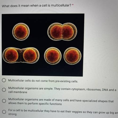 What does it mean when a cell is multicellular? I only have 5 minutes so please help.