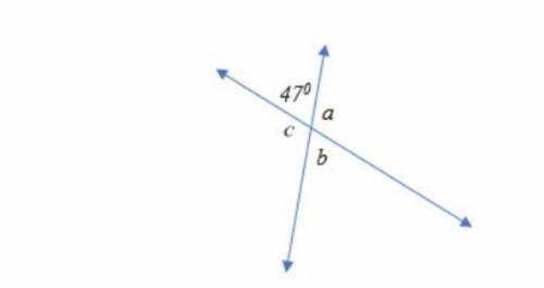 Name an angle that is supplementary to 47°. *