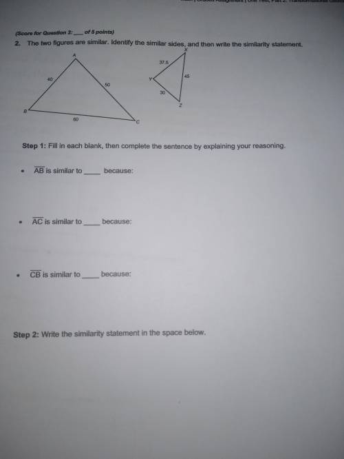 Help me please, I don't know how to do this