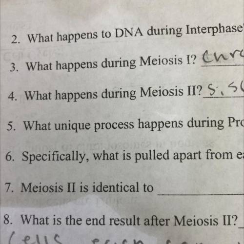Meiosis II is identical to