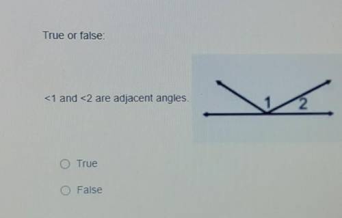 True or false: is 1 and 2 adjacent angles (look at picture)