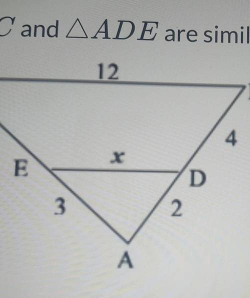 I'm working with similar triangles in my geometry class and I am having trouble with this problem