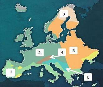 Which of the following climate regions in not found on the map above?

A.
Mediterranean
B.
tropica