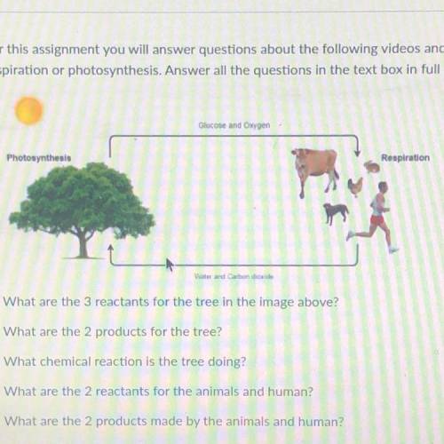 What are the 3 reactants for the tree in the image above?
