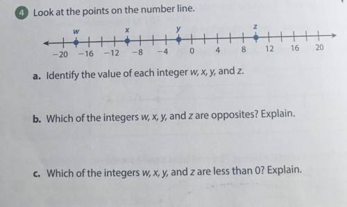 Please help and can someone explain what a integer is