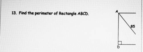 Find the perimeter of rectangle ABCD. That’s the full photo. Only half of the rectangle is provided