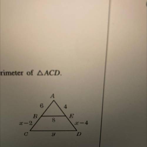 If BE || CD, find the perimeter of AACD.

A.
24
B.
30
C.
36
D.
42
4
8
y/