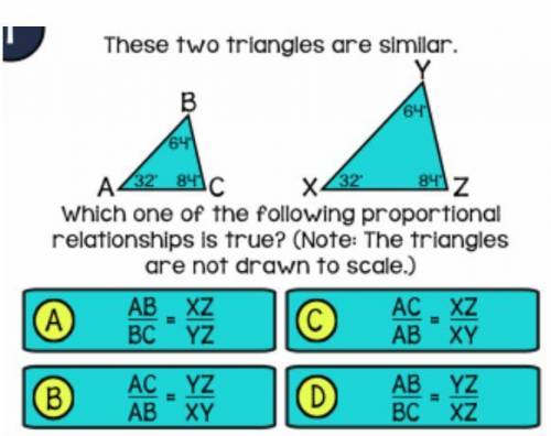 Need help fast im giving 20 points