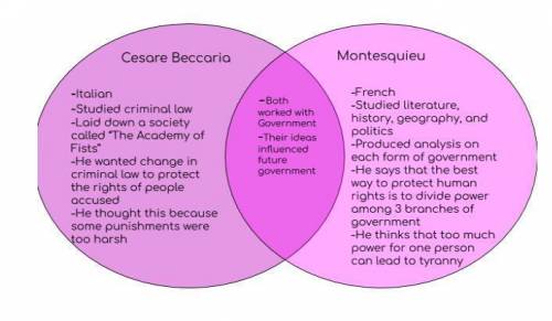 WRITE IN YOUR OWN WORDS

Complete a Venn diagram comparing and contrasting Enlightenment thinkers C