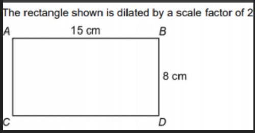 Can you please help me with this question please I will give you extra points and the brain thing.