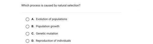 Which process is caused by natural selection?

A.
Evolution of populations
B.
Population growth
C.