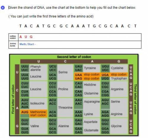 Given the strand of DNA, use the chart at the bottom to help you fill out the chart below. ( You ca