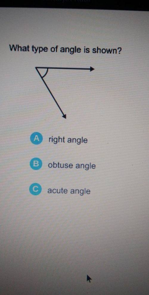 What type of angle is show