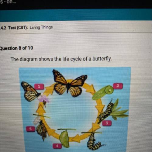 Please help

The diagram shows the life cycle of a butterfly
5
Which statement best explains the p