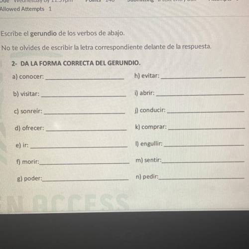Please help me with this Spanish work