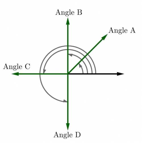 Four angles are shown below. Recall that there are 360 degrees in one full rotation.

￼Angle A is 