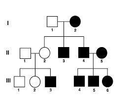 How many males in the 2nd generation are affected?