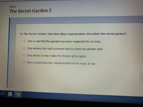 In the Secret Garden how does Mary respond when she enters the Secret Garden?