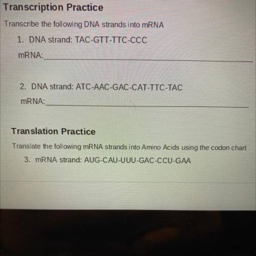 Help me please !
transcribe the DNA strands into mRNA