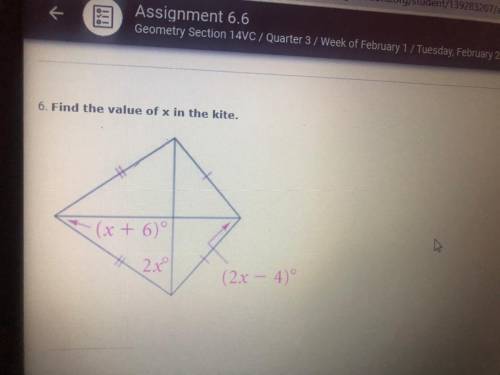 Find the value of x in the kite