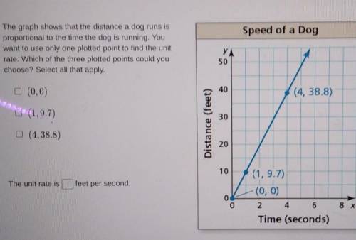 The graph shows that the distance a dog runs is proportional to the time the dog is funning. You wa