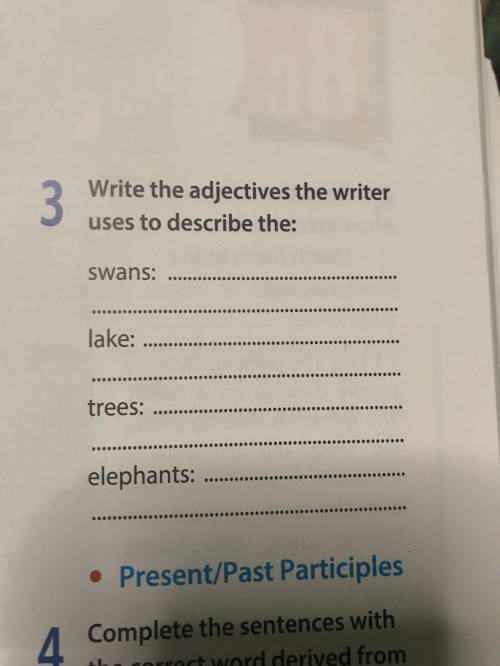 Write the adjectives the writer uses to describe the:
