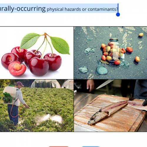 Which two images show naturally-occurring physical hazards or contaminants?