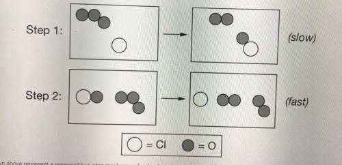 Which one is the catalyst?

a.) the three dot one 
b.) the two gray dots
c.) the one white dot 
d.