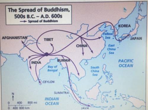 What is the correct order of the spread of buddhism ?

- china, india, korea, japan 
- india, kore