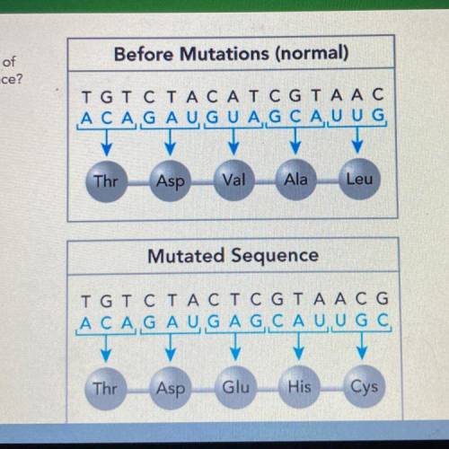 1. Compare the two DNA sequences and

polypeptide chains they produce. What type of
mutation has o