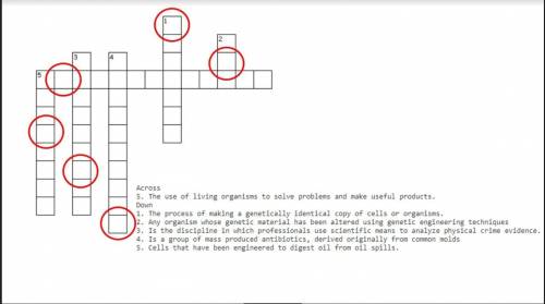 Can somebody figure this crossword puzzle out? Ignore the red circles though.