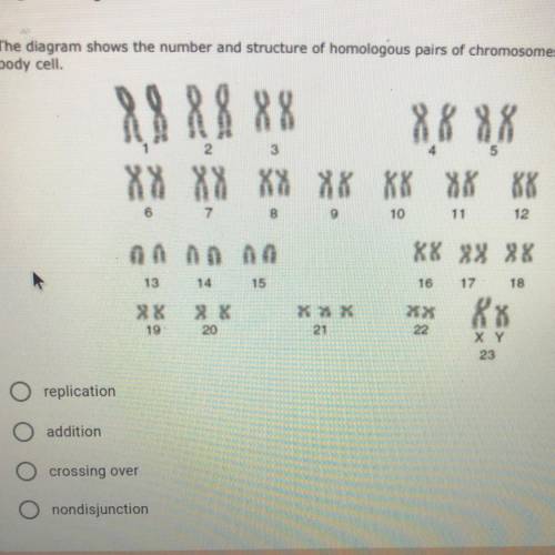 The process that produces the chromosome abnormality represented in 10 points

the given diagram i
