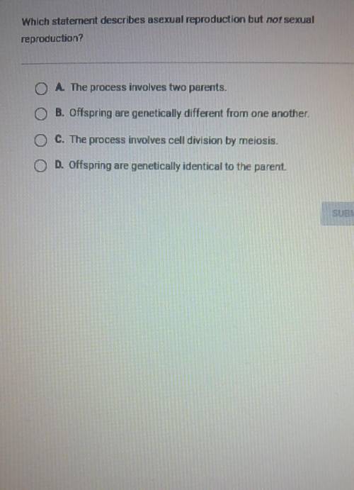 What is the answer to this question pls help
