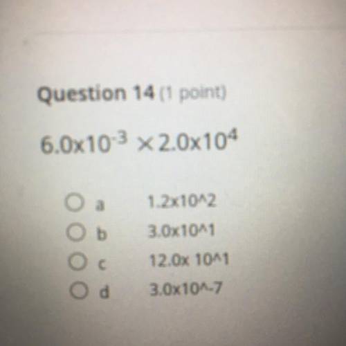 Hey could someone help me with this?
