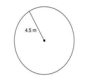 What is the Circumference of this circle.