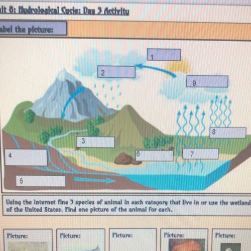 Can someone help me label the image, water cycle