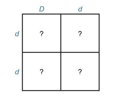 GIVING BRAINLIEST FOR CORRECT ANSWER

Dimples is a dominant trait (D). The Punnet square shows a c