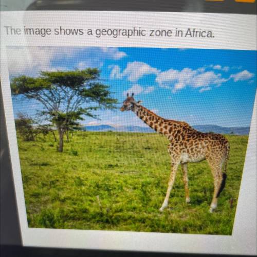 The image shows a geographic zone in Africa.

Which geographical zone is pictured in the image?
0