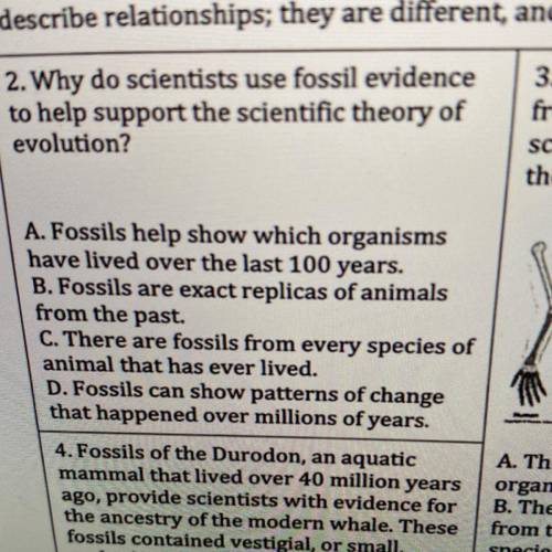 2. Why do scientists use fossil evidence
to help support the scientific theory of
evolution?