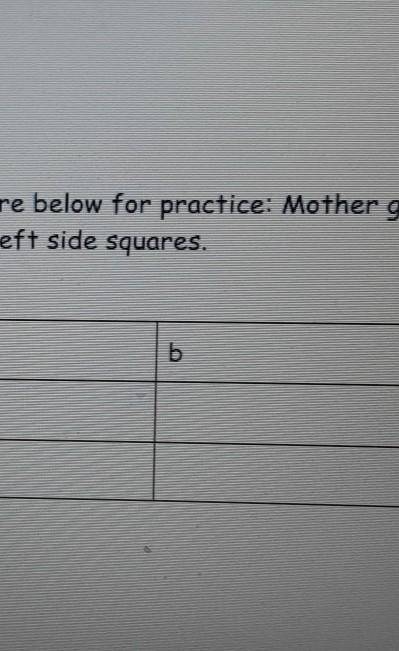 Add a brown eyes cross in the Punnett Square below for practice: Mother genotype (Bb) in the top sq