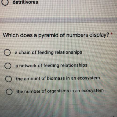 Which does a pyramid of numbers display?*

O a chain of feeding relationships
O a network of feedi