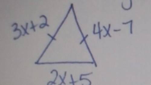 Find the side lengths of the triangle