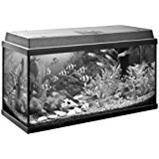 A fish tank in the shape of a right rectangular prism is 12.5 inches long, 6 inches wide and 8 inch