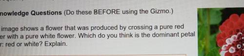 Please help me I will give you 10 points