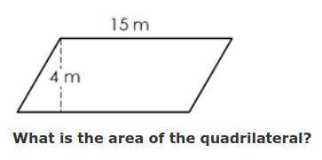 Can someone help me with the area of this please