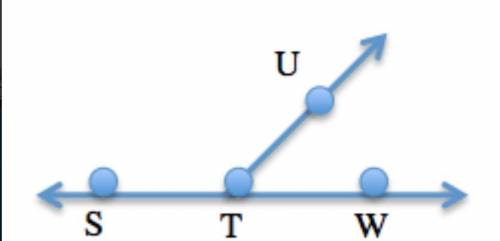 What terms best describe the relationship between STU UTW