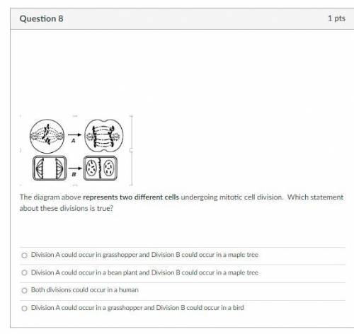 The diagram above represents two different cells undergoing mitotic cell division. Which statement